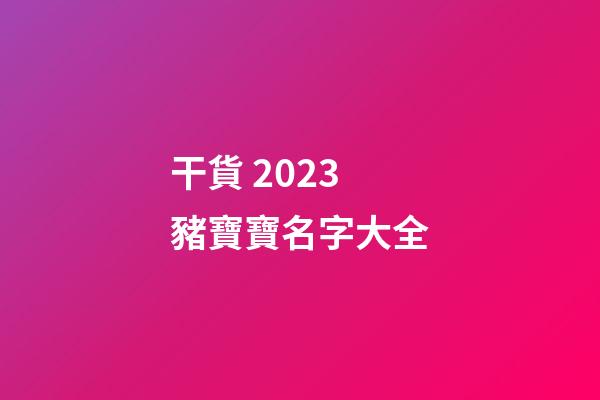 干貨 2023豬寶寶名字大全